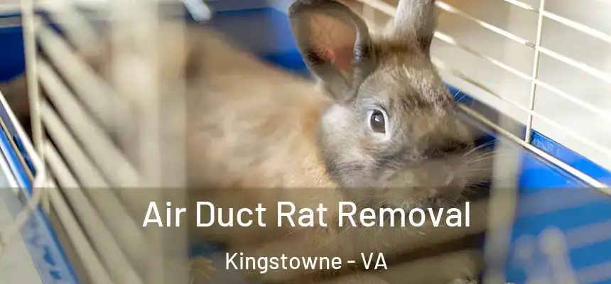  Air Duct Rat Removal Kingstowne - VA