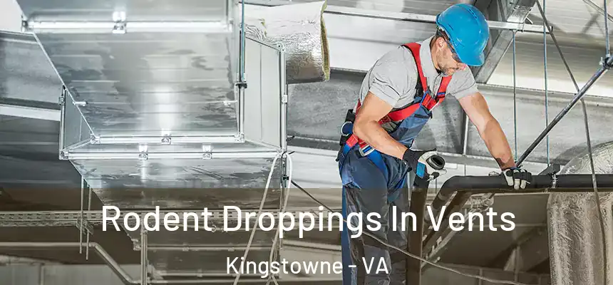 Rodent Droppings In Vents Kingstowne - VA