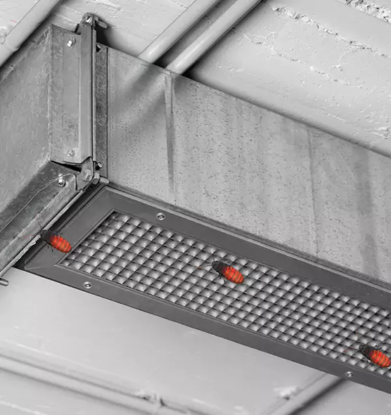Affordable Insect Removal from Air Ducts in Kingstowne, VA